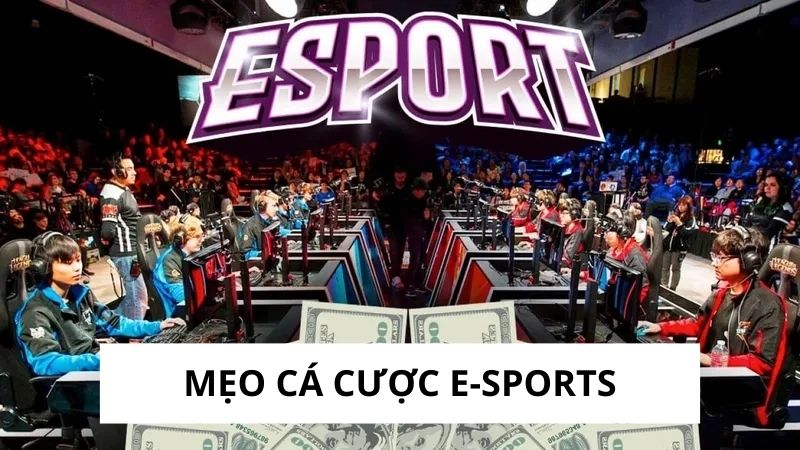 Cá Cược E-Sports